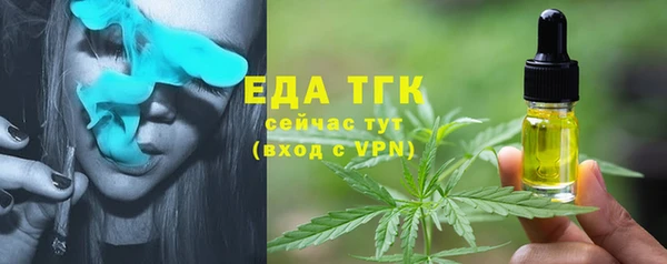 СК Алзамай