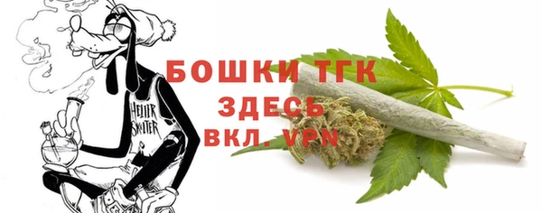 СК Алзамай